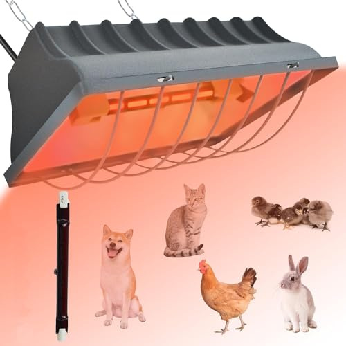 HEYOUTH Värmelampa för fjäderfä, kycklingvärmare, hönsvärmare, konstant temperatur, för uppfödning av kycklingar, ankor, vaktlar och fåglar (250 W)