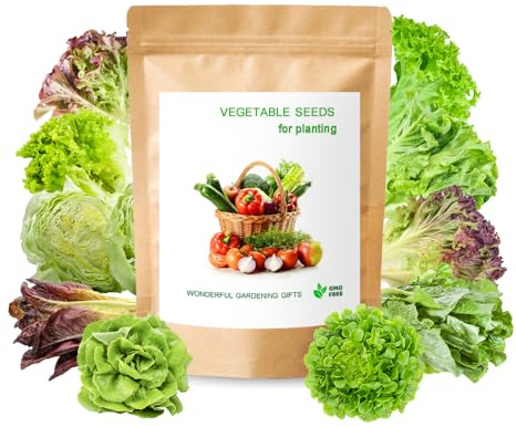 10+ Varieties Lettuce Ideal for Baby Leaf Harvest Multiple Times