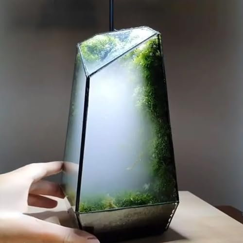 Terrario De Cristal Pequeño Negro para Plantas,Maceta De Terrario De Vidrio Geométrico Negro,geométrico Maceta Hecha A Mano, Caja De Maceta para Suculentas Plantas De Cactus(sin Plantas)