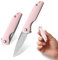 DRACHENADER Taschenmesser Klein Klingenlänge 5, 2 cm Klappmesser, 5Cr13Mov Stahl Mini Einhandmesser, Schlüsselanhänger Messer für Frauen Outdoor, Silber Klinge - Rosa Griff