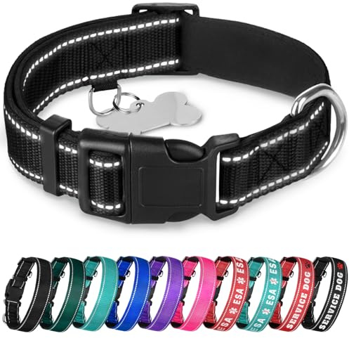 TECEUM Reflective Dog Collar – Black – M – Extra Soft Padding – Basic Nylon Pet Collar – Quick Release Buckle – Fits Small, Medium and Large Dogs, Puppies, Cats
