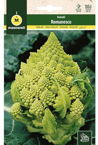 Mascarell Semillas, BRÓCULI, Semillas Huerto, BROCULI ROMANESCO, Crea tu Propio Huerto Urbano y Cultivo en Casa, Plantas Hortícolas, 3 Gramos