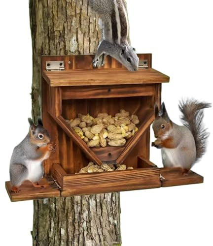 Alimentatori per scoiattoli, ricariche ridotte necessarie, 42 x 28 x 12 cm, mangiatoia per scoiattoli, dispenser di cibo per scoiattoli, integrazione di paesaggi naturali, per giardino, cortile