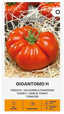 Zalia stotele | Pomodori - Gigantomo H semi | Semi di ortaggi | Semi di piante | Semi di pomodoro | Rosso, lucido e molto carnoso | La polpa del frutto ha un sapore aromatico e forte | 1 confezione
