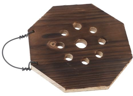 BESTonZON Mur Végétal Vertical avec Kit De pour Staghorn Support pour Orchidées Et Jardinière Intérieur pour Jardin Vertical Décoratif