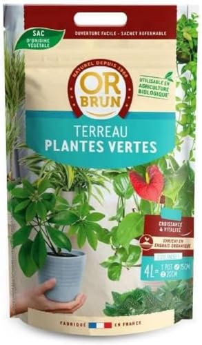 OR BRUN Terreau Plantes Vertes 4L Accélère & Favorise La Croissance OBRTCDPLTVER4