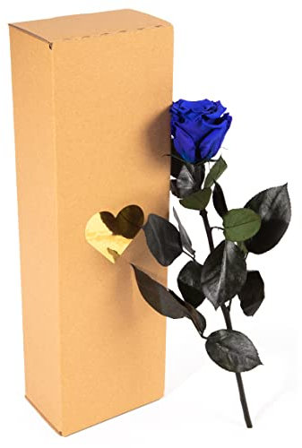 Rosa Eterna Blu - Lunga 3 Anni di Rose Vere Conservate Con Manico Lungo 30-35 cm in Scatola - Infinite Rose Durevoli per Regali da Donna Con Occhi Blu e per Vaso di Fiori