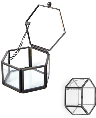 Bellabon Hexagon smyckeskrin i glas, hexagonala geometriska ringlådor, genomskinligt guldigt glassmyckeskrin för förvaring och visning av smycken, halsband, örhängen