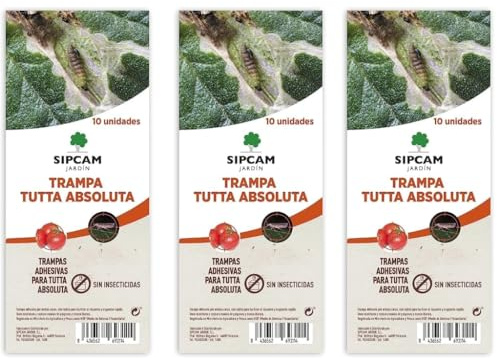 10 trampas Adhesivas para la Tuta Absoluta, sin insecticida, para el Control de Las Principales plagas del Tomate y Otros Cultivos - Sipcam (3)