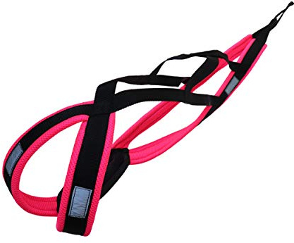 LASALINE Arnes de Tiro para Perros para Canicross, Mushing, Bicicleta, Trineo, Patinete, en Negro Rosa Neón