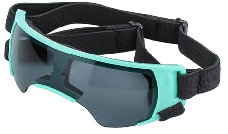 Hundsolglasögon – hundglasögon UV-skyddsglasögon, dammfria, snösäkra hundglasögon för liten till medelstor ras, hundsolglasögon, vindtäta valpglasögon för utomhusridning och körning