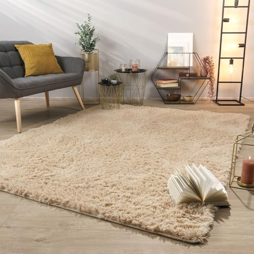 TT Home Tapis De Salon Tapis Shaggy Poil Long Doux Peluche Design Moderne Monochrome, Couleur: Beige, Dimension:120x170 cm