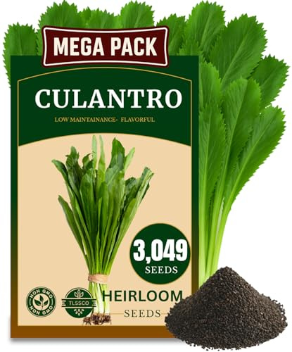 3000+ Culantro Seeds - Heirloom Herb Seeds for Planting, Slow-Bolting, Flavorful Cilantro Alternative, Great for Outdoor Herb Gardens (Eryngium foetidum)