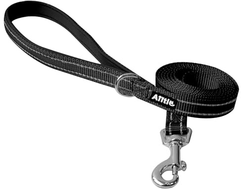 AIITLE reflektorhundkoppel 1,5 m stoppad justerbar svart | Nylon, dragfri, handtag, reflekterande, för valpar och små/medelstora hundar, promenader och löpning