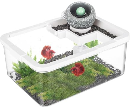 Aquariums pour Poissons Betta, Décoration De Table Basse avec Aquarium, Bassins Anciens avec Pompe USB & Éclairage pour Aquaponie, Méduses, Bureau, Bibliothèque, Chambre à Coucher
