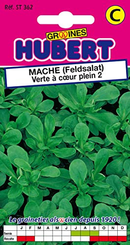 Graines de Mâche Verte à Coeur Plein 2 - 4 grammes