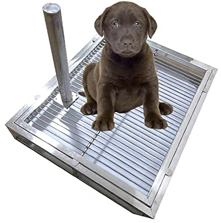 Klos - und hundeklos. Edelstahl-Hundetoilette, Hundetoilette, for drinnen und draußen, Katzentoilette, Badezimmermatte, Padhalter, Schutzsäule(Sus304,62 * 42 * 7.5cm)
