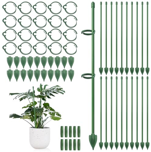 Lvjkes tutores para Plantas 20 Unidades, Tutor de 30 cm con Pinzas para Plantas, Regulable en Altura, Soporte para Plantas perennes como Monstera, Tomates, pepinos, orquídeas, Rosas y Enredaderas