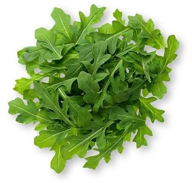 100 semi di rucola verde