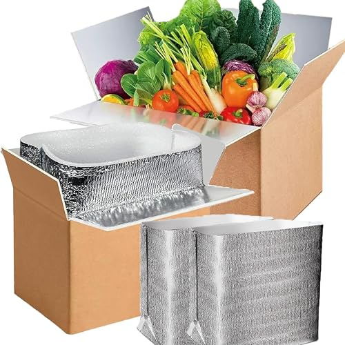 2 Pack Large Thermo Chill Double Insulated Shipping Box, (9.5X 6.8X 6) with Aluminum Foil Liner - Keep fresh-Cold Shipping Box for Frozen Food - Insulated Cooler Box for Packing, Moving, Mailing