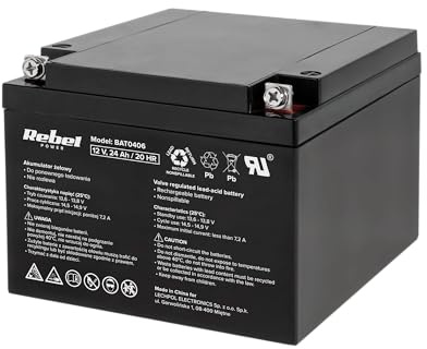 Rebel - Batería de Gel (12 V, 24 Ah, BAT0406)