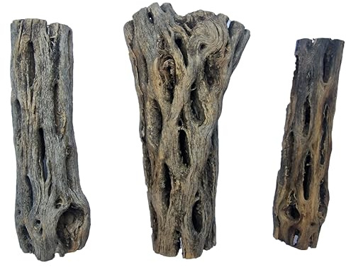 VIRS PRO Cholla Wood Set of 3 pises - 4 inches for Shrimp Habitat and Food Treat Hermit Crabs Plecos Aquarium Decoration Lowers pH Hideouts and Chew Toys Reptiles Thorn Free Dried Organic Natural
