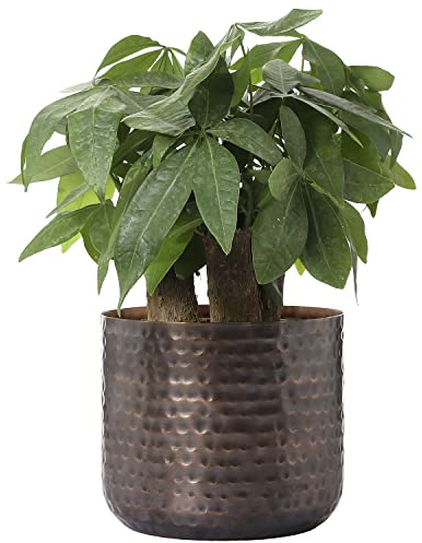 MyGift 6 Inch Vintage Copper Tone Metal Vase, Flower Pot with Hammered Texture, Cylindrical Indoor Succulent Plant Container - Handcrafted in India