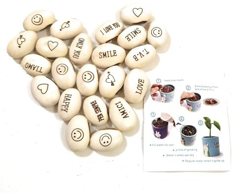 J & J Pack de 20 graines haricots magiques idée cadeau magie récurrence événement de curiosité idée cadeau maison bingo noël