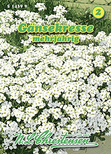 N.L. Chrestensen 514399 Gänsekresse (Kerbelsamen)