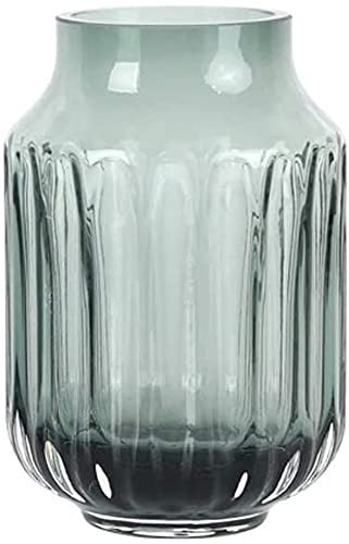 CWCQGH Jarrón Grande pequeño de Cristal, jarrón de Cristal Transparente de Jacinto, jarrón de Cristal Grande para Regalo de cumpleaños o Boda