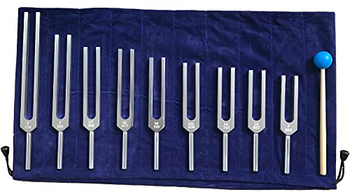 9 Packs Solfeggio Tuning Forks Set (Silver), Chakra Forks for Balancing, Sound Healing, DNA Repair, Mind Body Therapy Tuner, Vibration (174Hz, 285Hz, 396Hz, 417Hz, 528Hz, 639Hz, 741Hz, 852Hz, 963Hz)