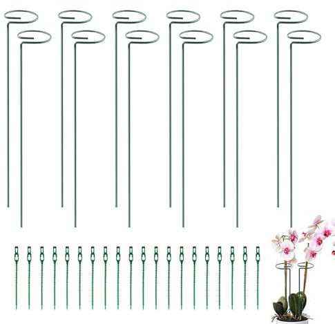 weiting Gladiolen-Stützpfähle, Blumenpfähle und Stützen - 12 Stück Pflanzenstielstützen für Blumen,20 Stück Kabelbinder im Lieferumfang enthalten, Gartenblumenpfähle zur Unterstützung beim Begradigen