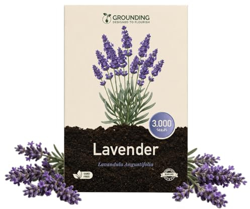 Grounding - Semi di Lavanda (Lavandula angustifolia), 3000 semi - Profumo intenso e fioritura viola, ideale per giardino e vaso - qualità Europea