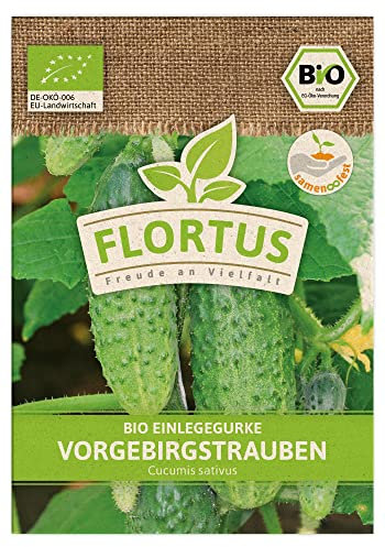 FLORTUS BIO Einlegegurke Vorgebirgstrauben | Gemüsesamen | Gurkensamen | Einlegegurkensamen | Samen zur Anzucht für Garten, Balkon, Küche & Fensterbank