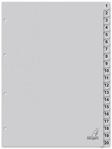 Kangaro K420C - Registro in cartone, formato DIN A4, numeri 1-20, 180 g/m², carta FSC riciclata, 20 pezzi, colore: Grigio
