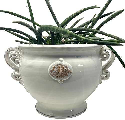 CERAMICHE D'ARTE PARRINI -Italian Ceramic Cachepot Vase Flowerpot Planter Art Pottery Indoor/Outdoor Hand Painted Pattern White Rustic Shabby Made in ITALY Tuscan