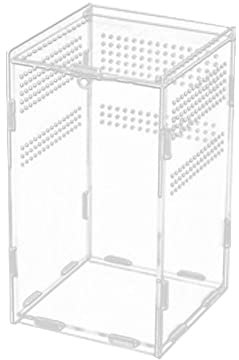 Acryl -Reptilien -Terrarium, geeignet für viele Arten von Insekten und Reptilien, mehrere Größen verfügbar,12cm×12cm×20cm