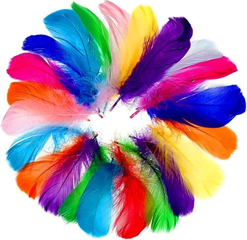Faburo 500 Stück Bunte Federn, Feder Handwerk,8~12cm, in Gemischte Farben