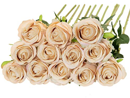 Floralsecret 12 Pcs Artificial Roses Flowers Silk Flower Bouquet Fake Single Stem with Long Stem for Home Wedding Party Garden Decoration (Champagne)
