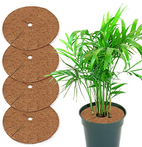 Yisscen 4 pièces Tapis de Coco Plantes, Disque de Protection Plante, Tapis de Noix de Coco Disque paillis Pot Tapis de Protection des Plantes pour Le Jardin de l'hôtel à la Maison (30 cm)