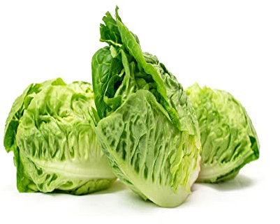 Lettuce Plants, 'Little Gem', 8 x Plug Plant Pack, Lettuces, Garden Ready and Ready to Plant, Indoor or Outdoor, Premium Quality Salad Plants