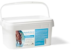 NBF Lanes | Hydrafit Horse - Reintegro Elettroliti per Cavalli con L-Carnitina e Carboidrati a Rilascio Rapido