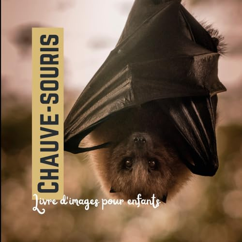 Chauve-souris: Livre d'images pour enfants
