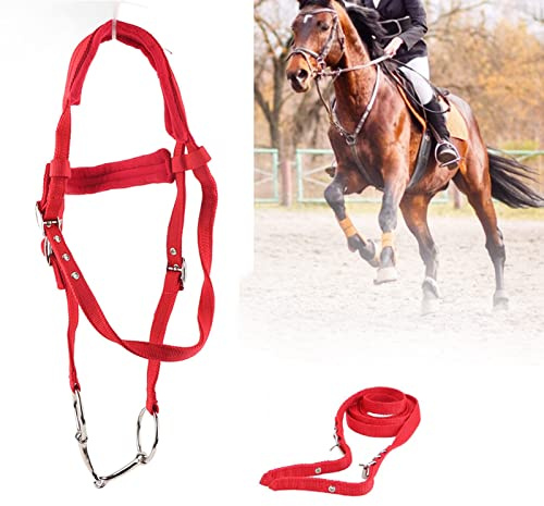SustVita Bride pour Cheval avec Conception à Double Pont pour Plus de durabilité, Comprend Un Jeu de rênes Complet et Un Mors, Comprend Une têtière à Coussin Doux pour Plus de