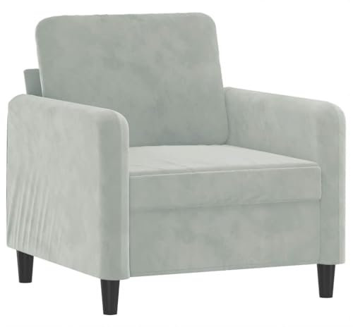 vidaXL Sofa 2-Sitzer, Loungesofa Couch mit Armlehnen Rückenkissen, Wohnzimmersofa Designsofa Metallgestell, Sitzmöbel Zweisitzer, Hellgrau Samt