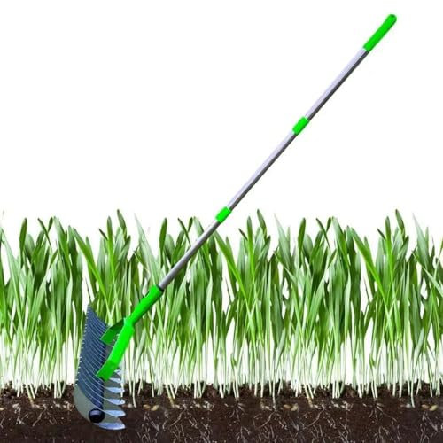 HLGKBY Scarificatore Aeratore per Prato, Attrezzo da Giardino per Rimozione Muschio, Strumento per Aerare con Punte per Aeratore da Prato con Manico, Efficace Aerazione Manuale 1.7m