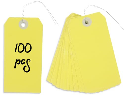 Dmnnlp 100 Stück Papieranhänger mit Draht, 12 x 6 cm, Gepäckanhänger, blanko, hängende Papieretiketten zum Markieren von Gepäck, Geschenken, Preis, Kleidung, Versand- und Inventar-Etiketten