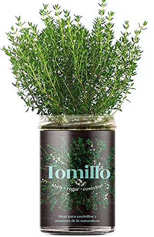 Huerto de Cocina Tomillo – Cultiva Tomillo Fresco en Casa | Kit Completo con Semillas, Tarro de Cultivo y Sustrato | Ideal para Cocina, Regalo Original y Huerto Interior | Resetea