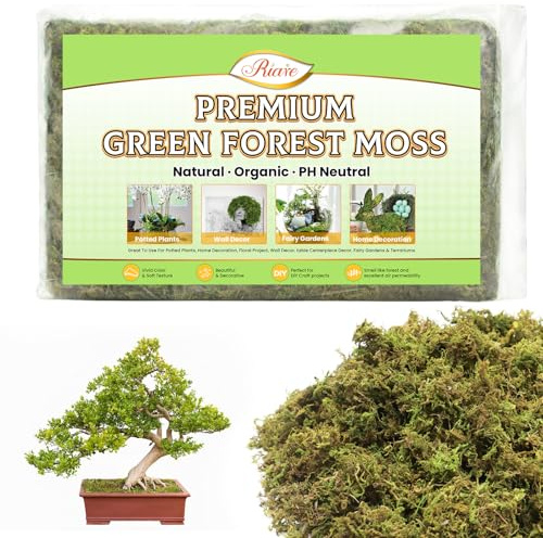 Riare 7OZ Artificial Fake Moss for Fake Plants Indoor- Premium Faux Craft Moss for Potted Plant, Fresh Forest Green for Hamsters Micro-Landscape Terrariums Centerpieces Decor