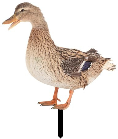 FACAIIO Décoration de jardin en forme de canard en acrylique, statue de cour extérieure pour décoration de jardin, décoration de jardin double face au sol